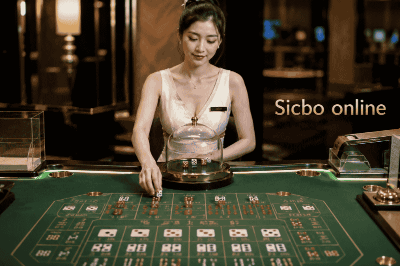 เล่นไฮโลออนไลน์ GClub เริ่มต้นอย่างไร สำหรับมือใหม่ที่อยากเข้าใจเกมแบบง่าย ๆ